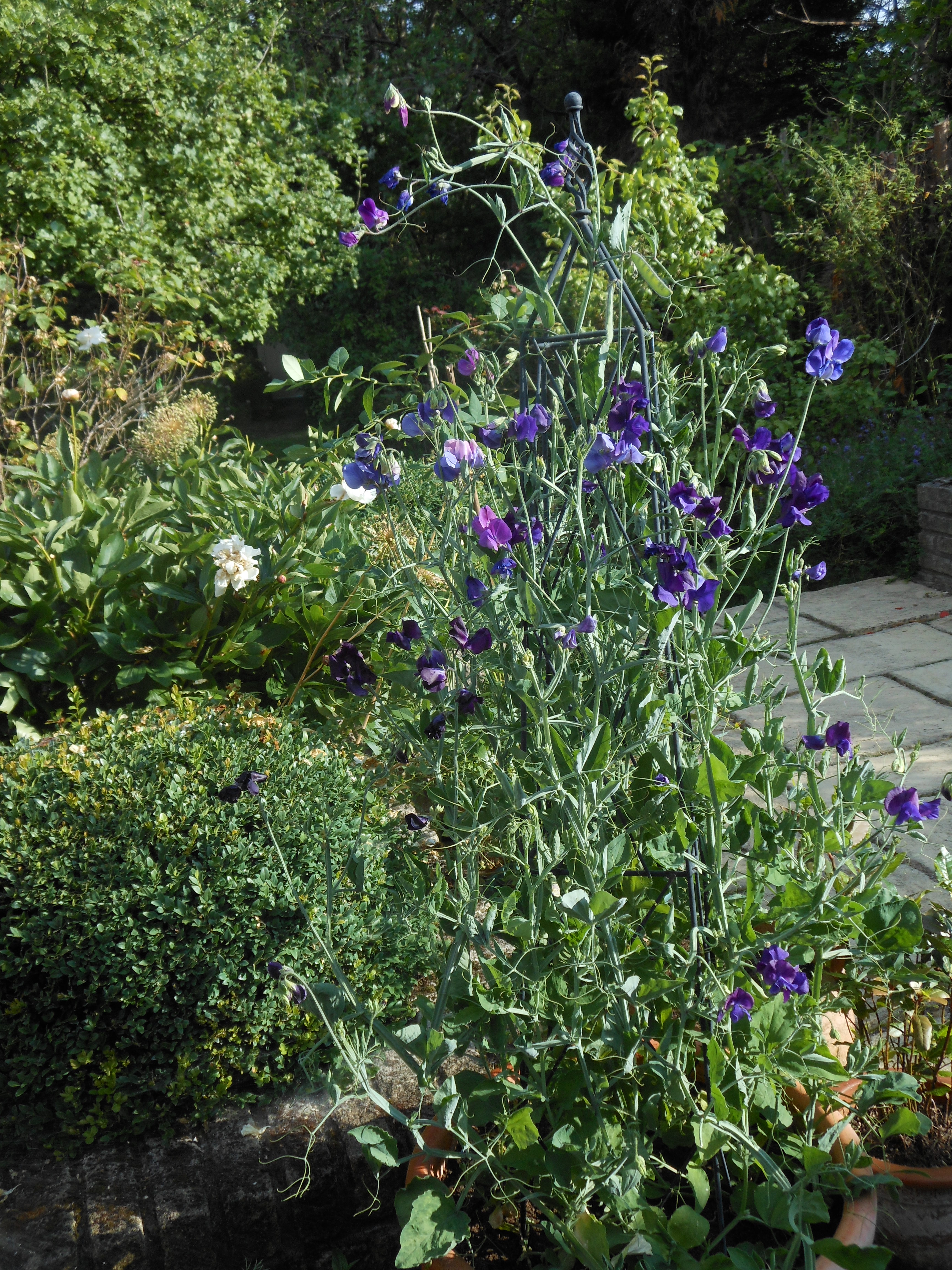 Well Dressings Bakewell